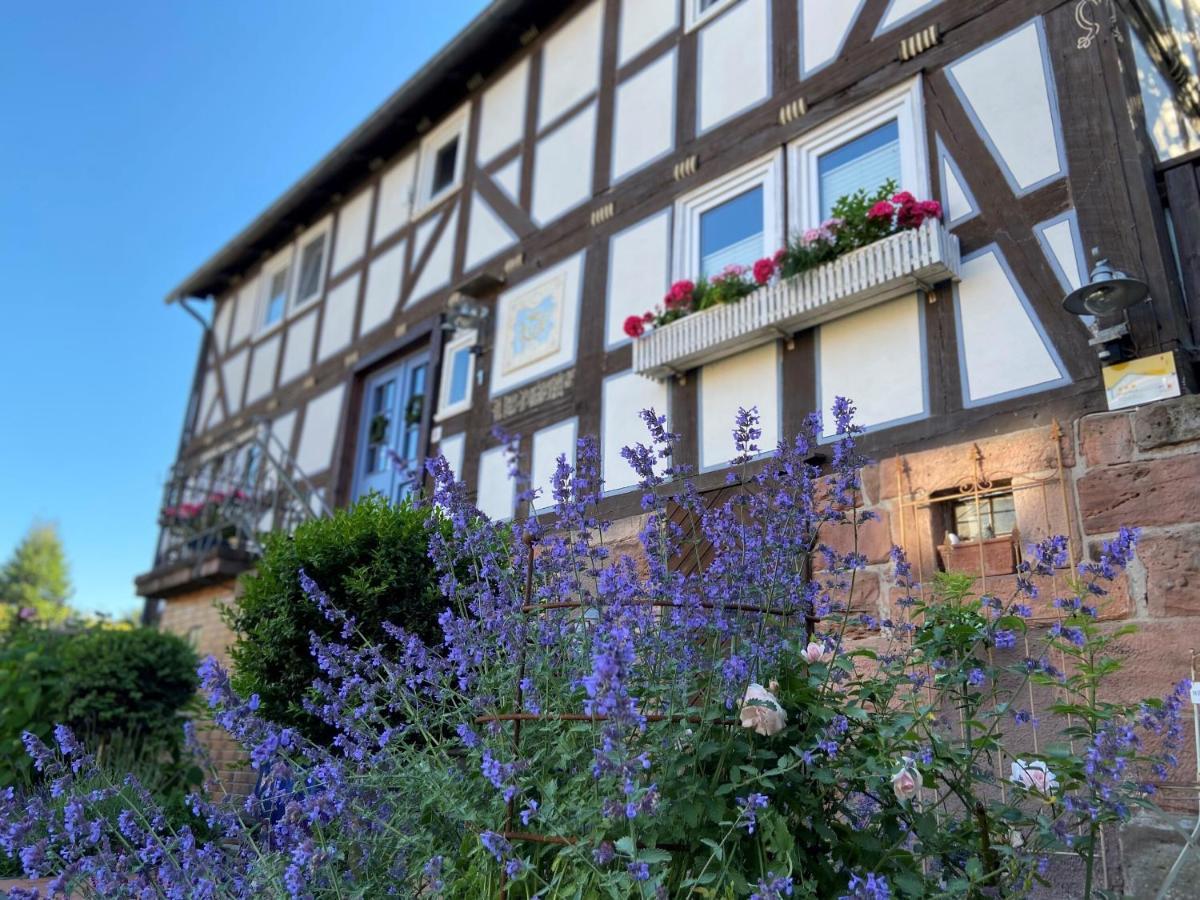 WERTS HOF gemütliche Ferienwohnung 1 Rauschenberg Exterior foto